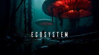 Ecosystem - Calm Space Ambient Relaxation - Mysterious Fantasy Ambient Music