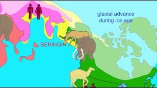 Beringia