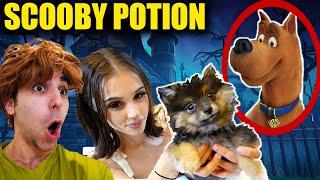 I FED MY ROOMMATE’s DOG SCOOBY-DOO POTION! (She was so mad)