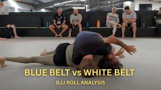 White Belt Vs Blue Belt BJJ Roll Analysis