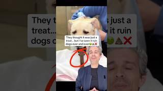 More dog owners should be aware of these#dog #dogs #pet #dogowner #petowner #vet #secrets #usa