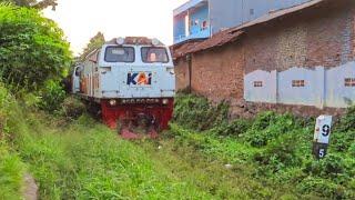 TERABAS POHON‼️ KERETA BLUSUKAN | Indonesian Extream Railway, KERETA BERJALAN DI REL TERTUTUP RUMPUT