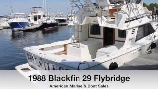 1988 Blackfin 29 Flybridge