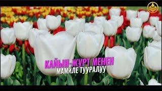 КАЙЫН-ЖУРТ МЕНЕН МАМИЛЕ ТУУРАЛУУ. Шейх Чубак ажы