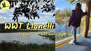 Come To Llanelli Wetland Centre With Us