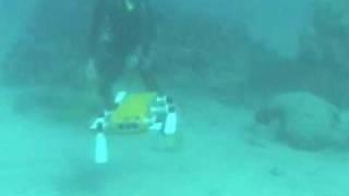 Swimming gait (hovering) for station-keeping