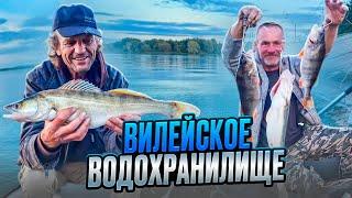 За судаком на Вилейское водохранилище. Рыбалка в Беларуси.