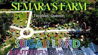 Bagong Pasyalan SUGAR LAND & BUTTERFLY SUNCTUARY at Semara's Farm Brgy, Lakawan Tayabas City, Quezon