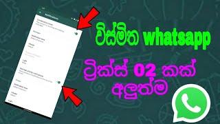 Whatsapp new 02 tricks | massages calls notification off and photo editing | pahanthuduwawa vedio