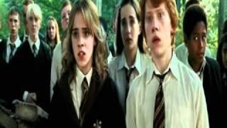 Ron & Hermione   Беспощадная сука, стерва...