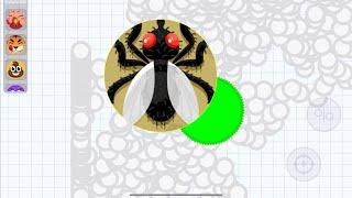 THE REVENGE  (AGARIO MOBILE)