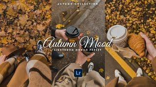 Autumn Mood - Lightroom Mobile Presets | Autumn Preset | Fall Preset | Autumn Filter | October Fall