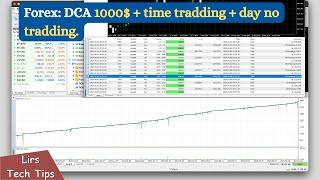 Forex: DCA 1000$ + time tradding + day no tradding