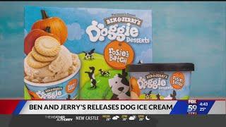 Ben & Jerry's releases ice cream for dogs