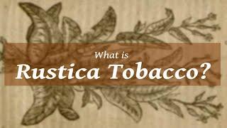 Talk about Rustica: The World’s Strongest Tobacco*