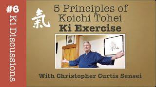 5 Principles of Ki Exercise