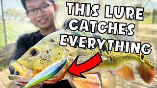 This Fishing Lure catches EVERY FISH | Everest QuickCatch | Singapore Fishing Lure | SGFishingRigz