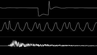 Tomas Danko - “Eastcoast” (C64) [Oscilloscope View]