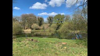 Luxury holiday lodges for sale in Cornwall at St. Tinney Farm