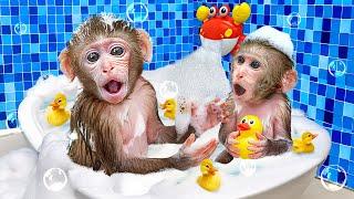 Monkey BuBu Take a Bath with Little Monkey and Taste So Yummy Ice Cream - MONO BUBU ESP