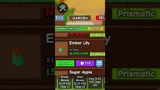 EMBER LILY RN #cringe