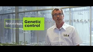 Lidea's experts: how to take control of your sunflower fields with Lidea’s OR Master solution