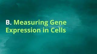 Cancer Immunotherapy DS Challenge - Lecture 2, Part  B - Tech - Measuring Gene Expression in Cells