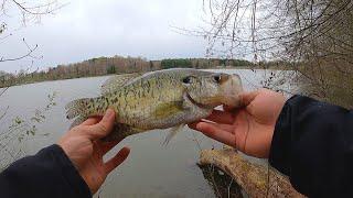 Crappie Fishing for SLABS with a Bobber and Jig! (FISH OHIO) Lake Logan State Park