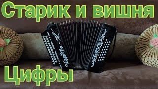 СТАРИК И ВИШНЯ/ Разбор на гармони/Старик и вишня цифры