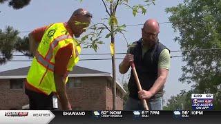Green Bay neighborhood revitalization efforts continue with tree planting