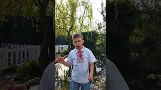 Наталя Забіла "Черепаха". Читає Богдан Пругло 