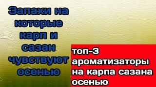 ароматизаторы которые рыба чувствует за километр! Какие запахи привлекают карпа осенью?