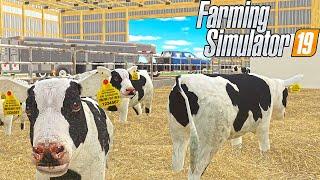 Let There Be Calves! (Mercer, FS19 RP)