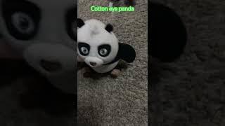 Cotton eye panda #plush #shortvideos #viral #yourlocalgamer #kungfupanda