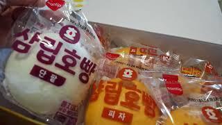 (mini vlog) 삼립 호빵 Samlip Hoppang Korean food product