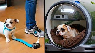 80 GENIUS Amazon Gadgets Every Pet Owner Needs in 2025