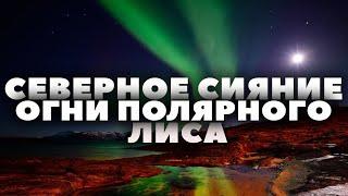 Северное сияние. Огни полярного лиса. "Очевидное невероятное", HD 1080.