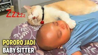 NGAKAK..! Pororo Disuruh Jadi Baby Sitter Malahan Tidur Bareng Bayi ~ Video Kucing Pororo Terbaru