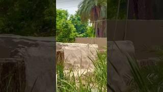 beautiful#wow#village#viral #