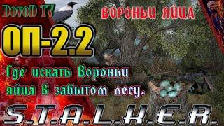 ОП-2.2 S.T.A.L.K.E.R. Где искать Вороньи яйца в забытом лесу.