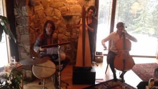 HarpPixie Trio: Moon Pocket live @Winter Solstice 2015