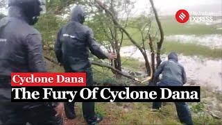 Cyclone Dana Landfall: Odisha On High Alert, Bhitarkanika Prepares For Impact