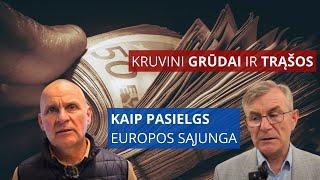 Kruvini grūdai ir trąšos. Kaip pasielgs Europos Sąjunga