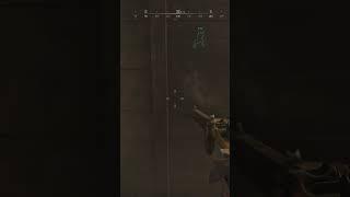 Hunt Showdown 1896 Funny Moments  307