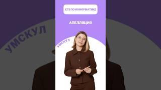 Апелляция #егэ #умскул #информатика #викаланская #егэинформатика