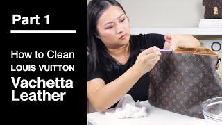 Clean Louis Vuitton Vachetta Leather | Delightful PM Part 1