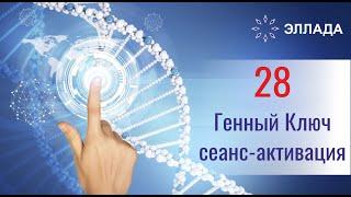 Генные ключи - 28 ГК