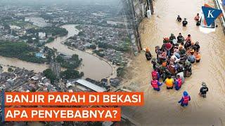 Banjir Parah Rendam Bekasi, Apa Penyebabnya?