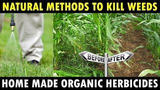 Organic Herbicides for Farming | Natural Weed Killer (Weedicides) | Organic Farming