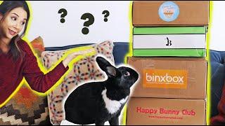 COMPARING ALL THE BUNNY SUBSCRIPTION BOXES! 